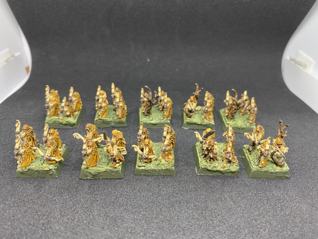 10mm Wood Elf Rangers (120 points)