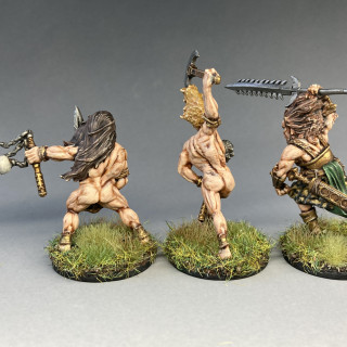 The Earth Tribe Warband Box