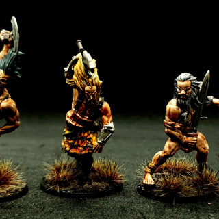 Earth tribe warband Finished