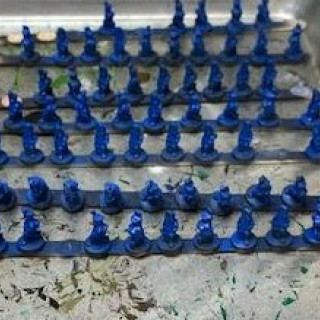 Blue Army Started