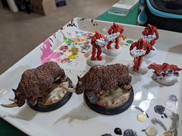 Clipped the weird bit under the rhino front foot and reprimed, then put some red speedpaint on the Shock Troopers and one of the Ferroxes. Not much, but eh, is OK.