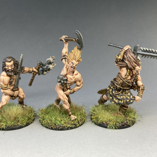 The Earth Tribe Warband Box