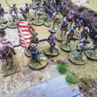 Colonial militia for crown or rebel forces