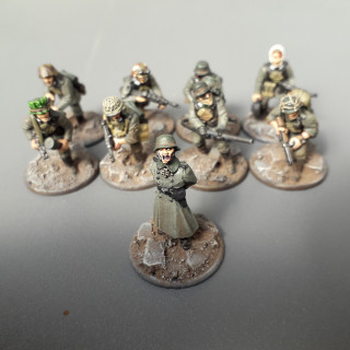 My Stalingrad German Army, what I achieved with last years Challenge.