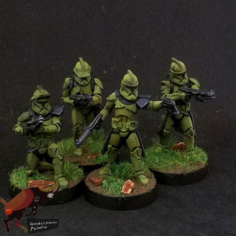 Kashyyyk campaign clones