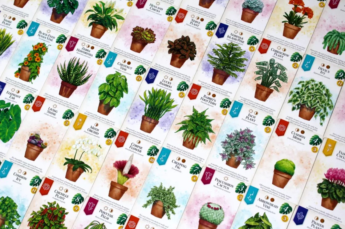 Plant Cards Preview - Verdant