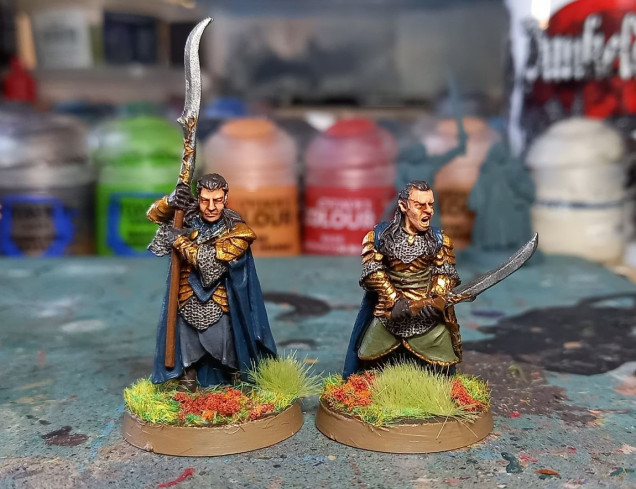 Will be used for some Last Alliance-era wargaming with my Rivendell Elves