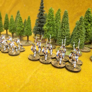 French Regular Infantry