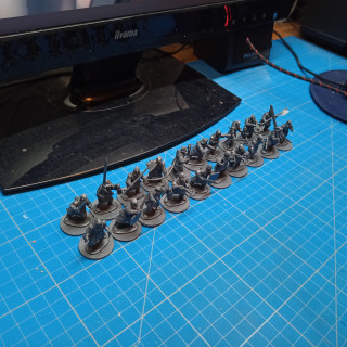 Frostgrave Soldiers (20)