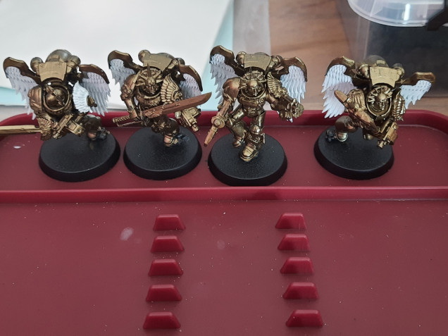 Sanguinary Guard in progress