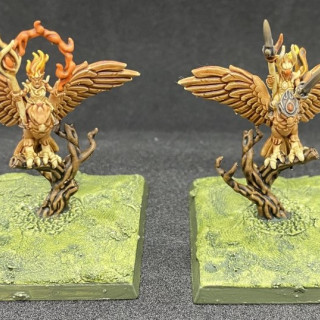 Characters and warhawk riders (580 points)