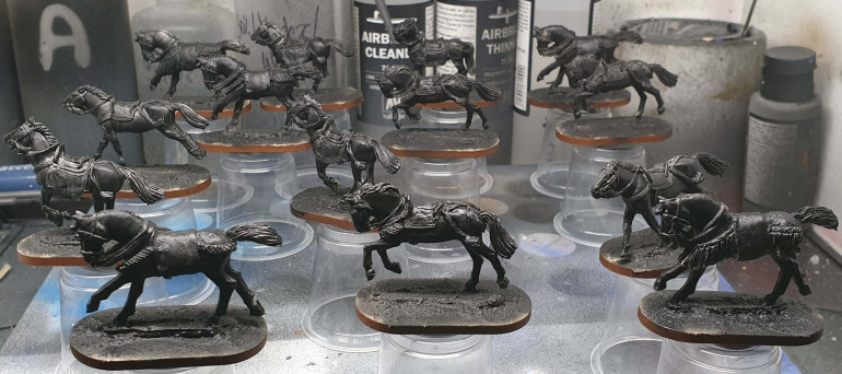 Horses are primed.