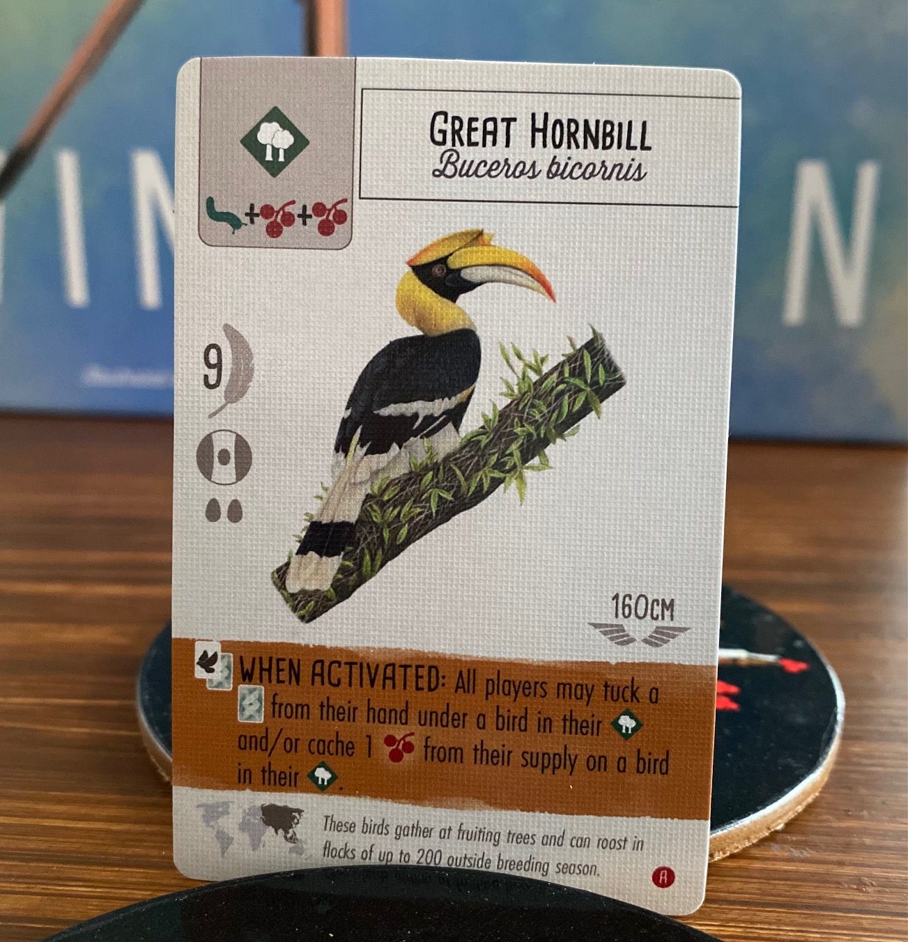 Great Hornbill Card - Wingspan Asia