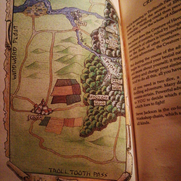 The original book had a map which the second version lacked and I found it useful during my replay. The intro to this book is 20 pages of background rivaling any rpg. Jackson really fleshes out this section of Allansia and was the perfect backdrop for his later novel the Trolltooh wars. This background gives you clues to your true identity which you later discover in this mammoth book which has 460 instead of the usual 400 paragraphs. 