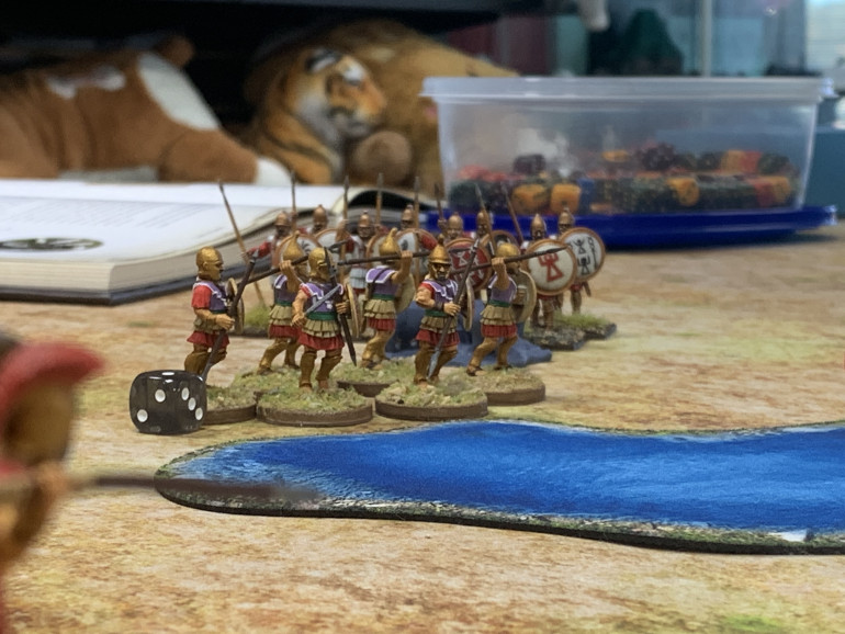 The Pezhetairoi are dangerously exposed as the second unit of Hoplites advanced herding the pigs in front of them momentarily distracting the Pezhetairoi. They then rush forward!  The Pezhetairoi decided to counter attack!