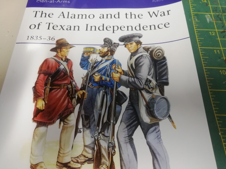 My first Texan unit are actually a volunteer unit from New Orleans. A unit with a regimented look in their grey uniforms. A much easier paint scheme compared to the Mexicans 