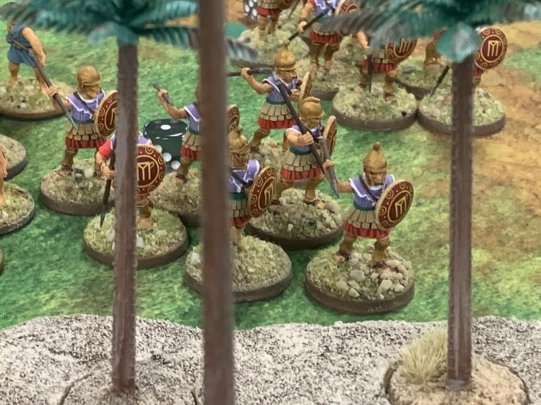 One Pezhetairoi unit slips into the palm grove and let’s fly some javelins but take even more in return. The second unit edges off to the left and also takes some javelins. 