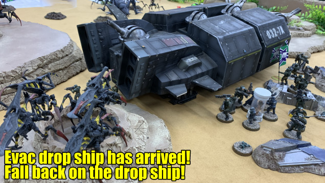 Starship Troopers Miniature Games (28mm) - P3