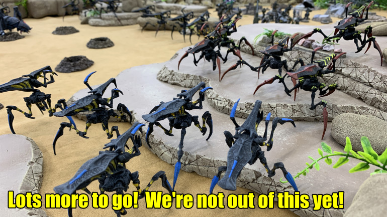 Starship Troopers Miniature Games (28mm) - P2