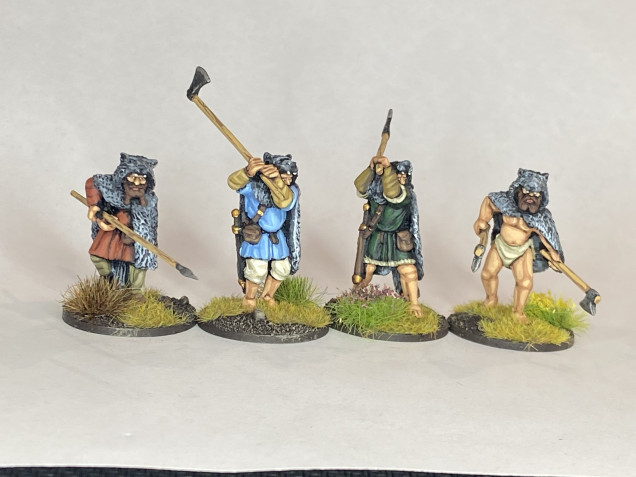 Saga Viking 4 point starter warband