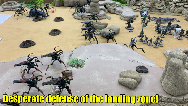 Starship Troopers Miniature Games (28mm) - P3