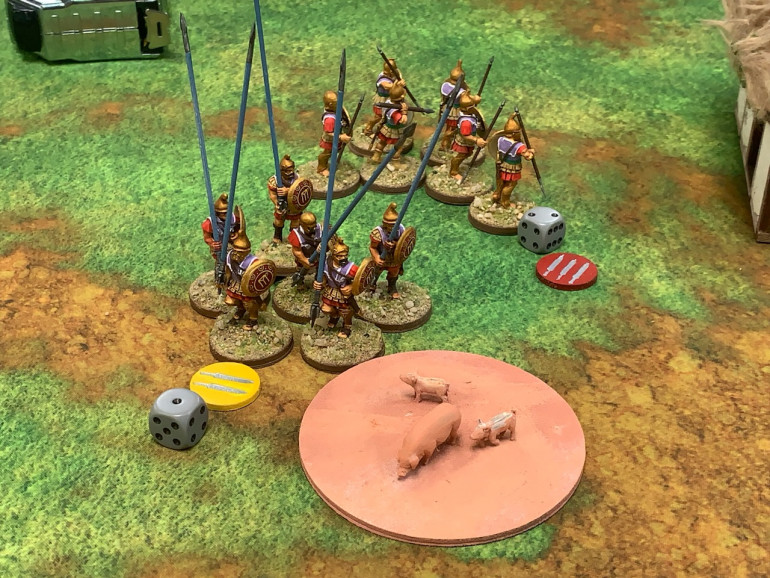 The pikemen hurry the pigs back to camp and the Pezhetairoi brush back the Roman officer. 