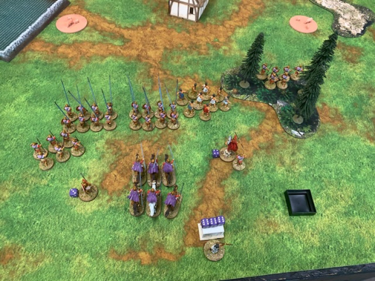 Overview of the battlefield following pre deployment scouting. Scenario is foraging duty with two herds of pigs as the objectives. Left to right, a unit of javelin armed Pezhetairoi, two blocks of pike, a unit of slingers and in the woods another unit of javelin armed  Pezhetairoi. Behind the main line a unit of Hetairoi with Eeyoricles to the left and Bradicles to the right. TimToo in the back with 3 fate dice. 