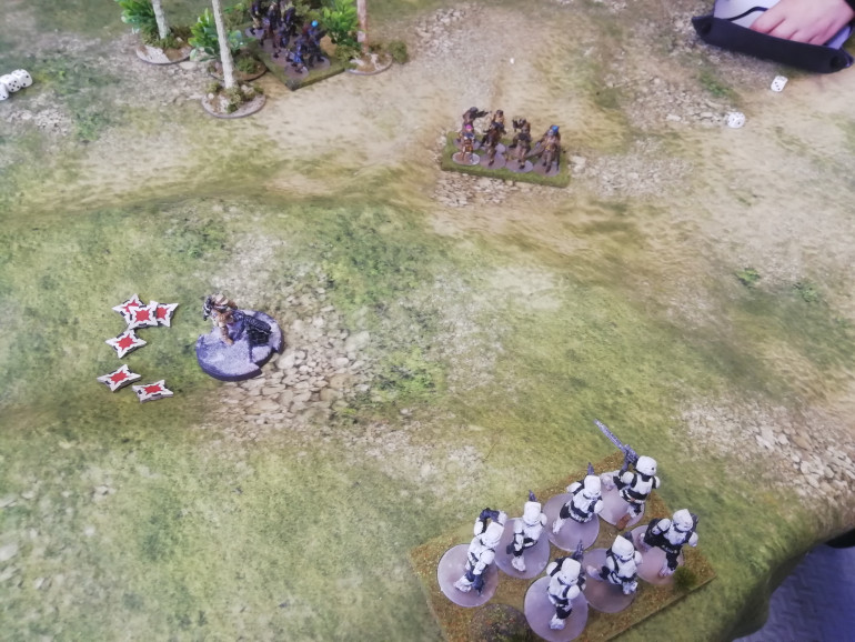 The empire took the hill but the Rebels broke cover and kicked the troopers of the objective. The two games were quick enough to keep a ten year old interested. The book has 30 scenarios. I would like to have ago at the napoleonic version with options to form square. 