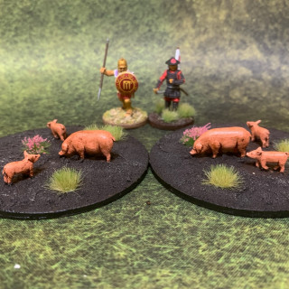 Objective Markers Done