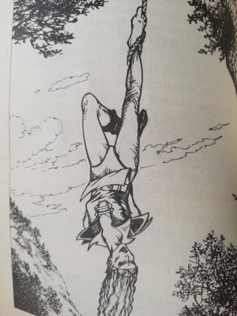 I am always suspicious of elf girls hanging from trees but surprisingly it's not a trap 