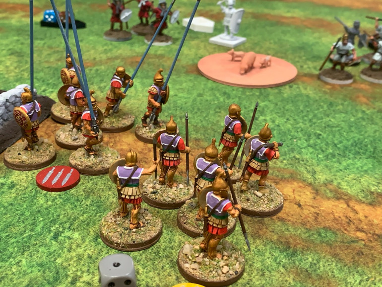 The pikemen push forward and exhaust themselves in the javelin men that were herding the pigs while the Pezhetairoi move up to finish off the Roman heavy infantry. 