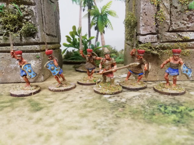 I started on the rank and file of the Drichean warriors from the bronze age style kingdoms. I might look at ancient historical minis to add to them. 