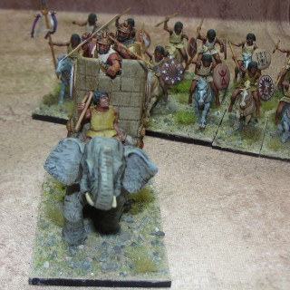 Finished Pachyderm