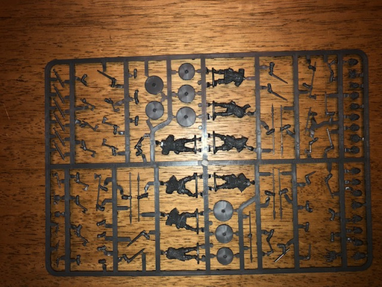 A standard Viking sprue.  There are 8 figures possible with a variety of equipment