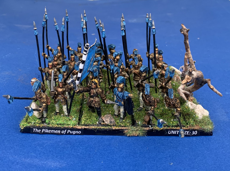 The finished unit of pikemen ready to venture forth into Lustria…