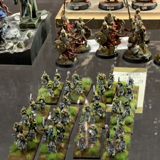 Salute 50 Painting Competition - Entries So Far (Part 10)