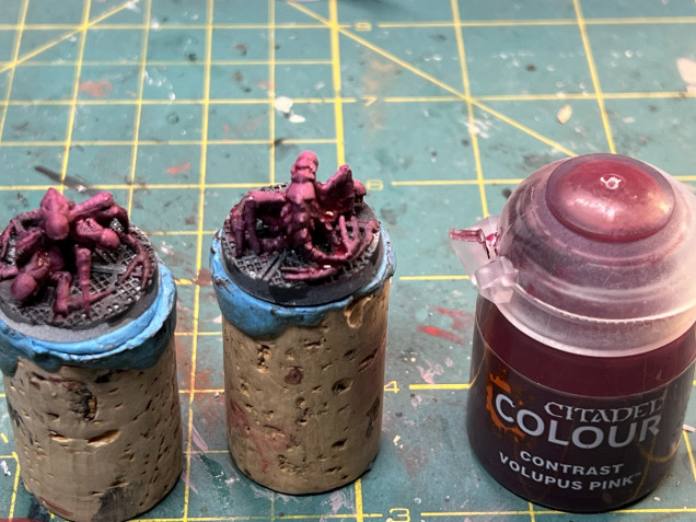 Followed by covering the entirety of the creature bodies with GW Contrast Volupus Pink