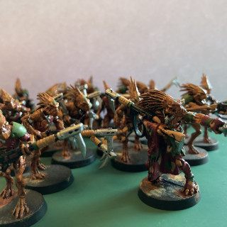 The Kroot come marching…..