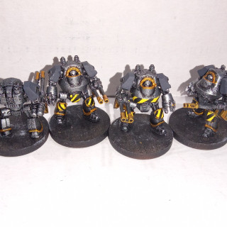 Rough Pictures Pre Basing