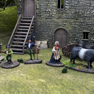 Border Reiver Family and a Characterful Envoy with a Cunning Plan