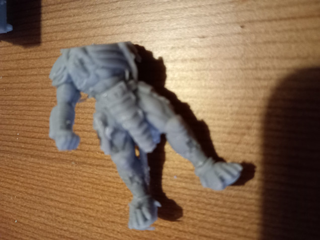 For some reason this predator has no head. Don't know why it stopped working. Might turn it into a ruined statue