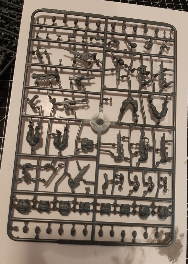 All the sprues are the same.  They are plenty options in heads, arms and weapons but only four different sets of legs. 