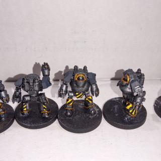 Rough Pictures Pre Basing