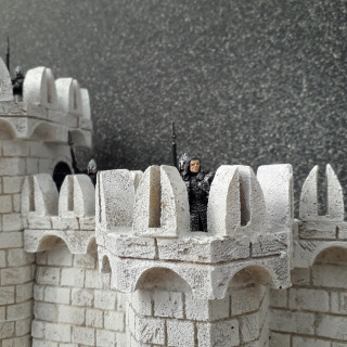Denethor and the Guards of the Citadel.