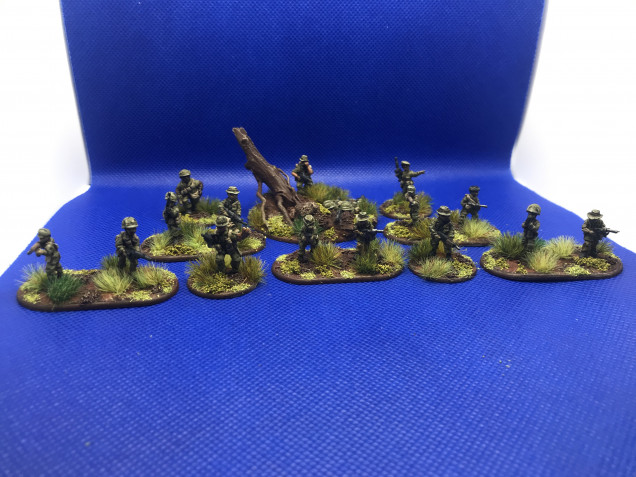 This is the full recconaisance team and a supporting squad from a mobile guerrilla force rifle platoon 