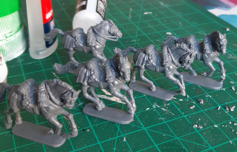 5 horses assembled and ready for converting