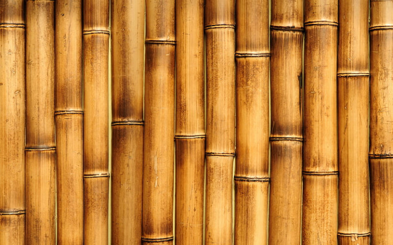 Comparison to real bamboo