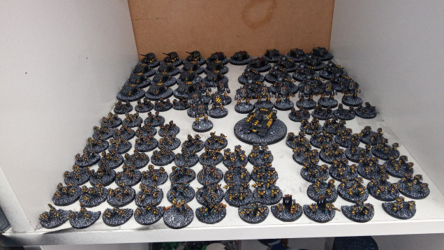 Army Group Shot. Left to Right, Front. Tactical Squads, Special Weapons, Siege Tyrants, Terminators. Back. Heavy Weapons, Dreadnoughts, Shadowlord, Rhino's, Basilisks, Destroyers, Predators