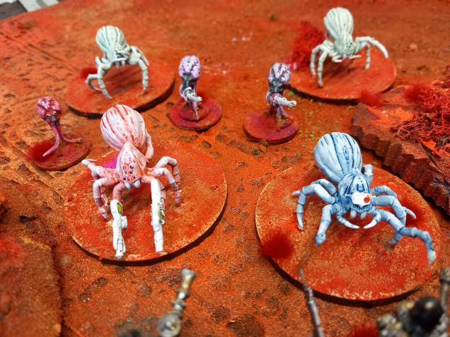 Spiders from mars