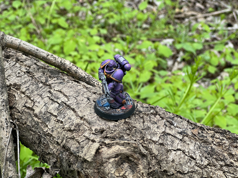 Chapter IV - If a Space Marine Falls in the Woods....